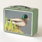 Mallard Duck Wildlife Foto Metall Brotdose (Vorderseite)