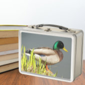 Mallard Duck Wildlife Foto Metall Brotdose