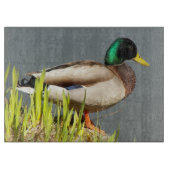 Mallard Duck Wildlife Large Schneidebrett (Vorderseite)