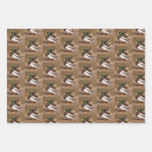 Mallard Duck Wrapping Paper Geschenkpapier Set (Vorderseite 2)