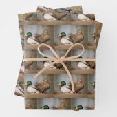 Mallard Duck Wrapping Paper Geschenkpapier Set (Beispiel)