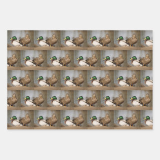 Mallard Duck Wrapping Paper Geschenkpapier Set