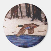 Mallard Duck zu einer Mission Magnet (Vorne)