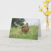 Mallard-Duckkarte Karte (Gelbe Blume)