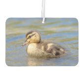 Mallard Duckling Autolufterfrischer (Rückseite)