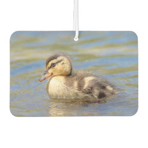 Mallard Duckling Autolufterfrischer
