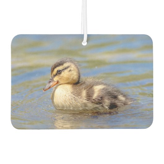 Mallard Duckling Autolufterfrischer (Vorderseite)