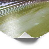 Mallard Duckling Fotodruck (Ecke)