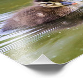 Mallard Duckling Fotodruck (Ecke)