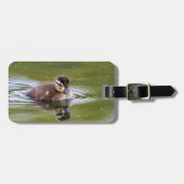 Mallard Duckling Gepäckanhänger (Vorderseite horizontal)