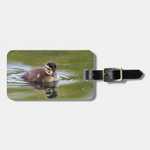 Mallard Duckling Gepäckanhänger