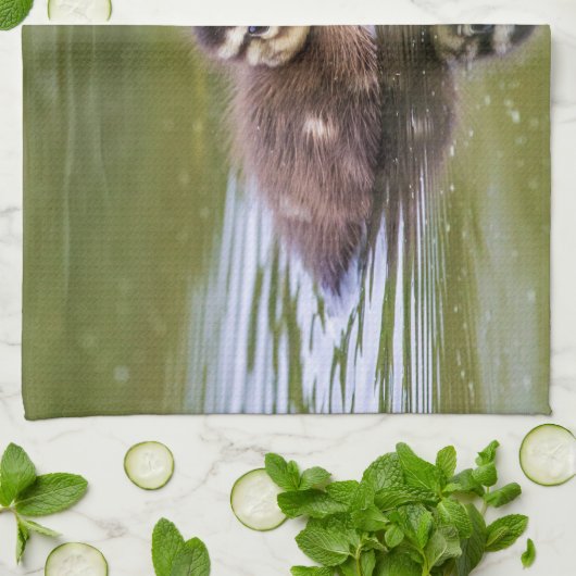 Mallard Duckling Geschirrtuch (Gefaltet)