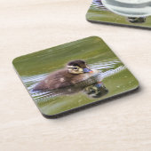 Mallard Duckling Getränkeuntersetzer (Linke Seite)