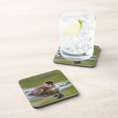 Mallard Duckling Getränkeuntersetzer (Rechte Seite)