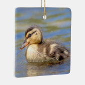 Mallard Duckling Keramikornament (Rechts)