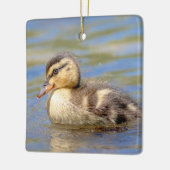 Mallard Duckling Keramikornament (Links)