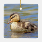 Mallard Duckling Keramikornament (Rückseite)