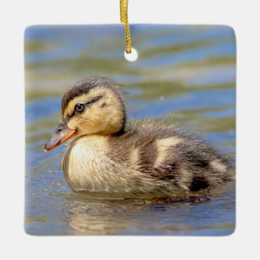 Mallard Duckling Keramikornament (Vorderseite)
