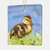 Mallard Duckling Keramikornament (Links)