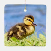 Mallard Duckling Keramikornament (Rückseite)