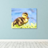 Mallard Duckling Leinwanddruck (Insitu (Holzboden))
