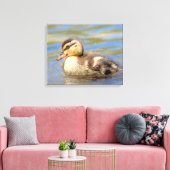 Mallard Duckling Leinwanddruck (Insitu (Wohnzimmer))