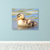 Mallard Duckling Leinwanddruck (Insitu (Holzboden))