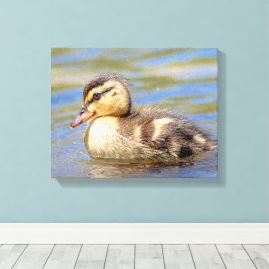 Mallard Duckling Leinwanddruck (Insitu (Holzboden))