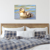 Mallard Duckling Leinwanddruck (Insitu (Schlafzimmer))