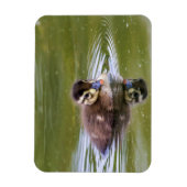 Mallard Duckling Magnet (Vertikal)