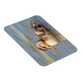 Mallard Duckling Magnet (Rechte Seite)
