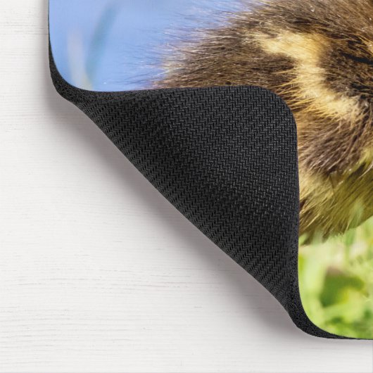 Mallard Duckling Mousepad (Ecke)