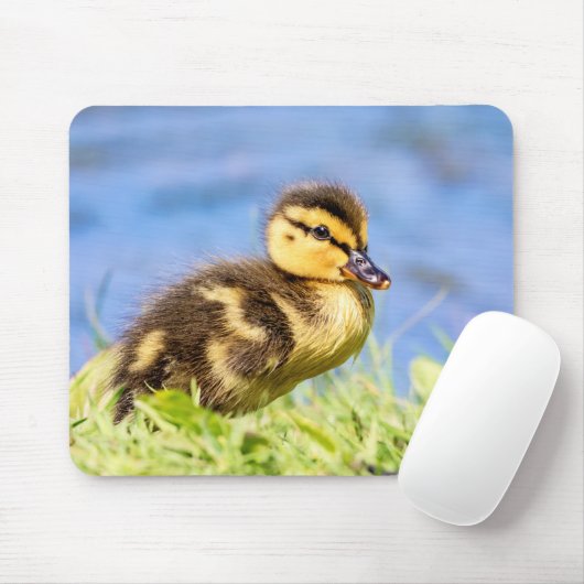 Mallard Duckling Mousepad (Mit Mouse)