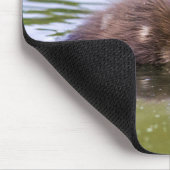 Mallard Duckling Mousepad (Ecke)