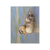 Mallard Duckling Notizblock (Rotiert)