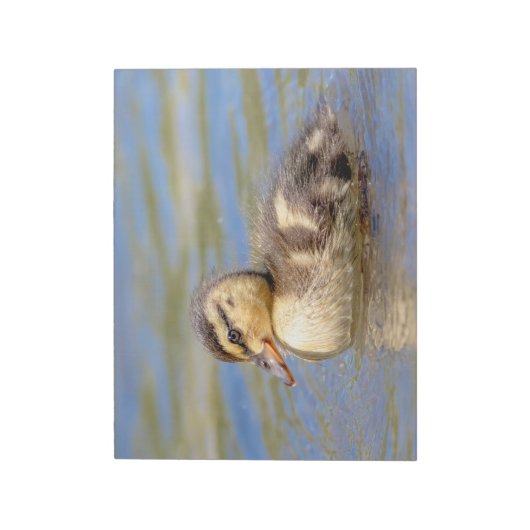Mallard Duckling Notizblock (Rotiert)