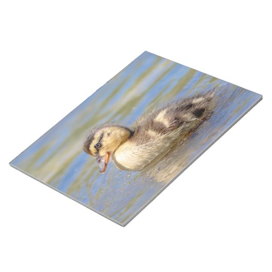 Mallard Duckling Notizblock (angewinkelt)