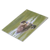 Mallard Duckling Notizblock (angewinkelt)