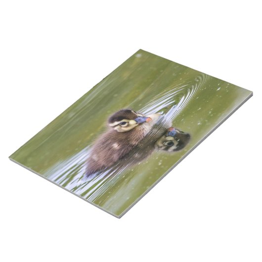 Mallard Duckling Notizblock (angewinkelt)