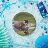 Mallard Duckling Pappteller (Party)