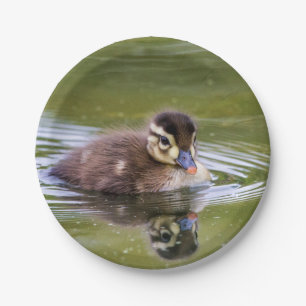 Mallard Duckling Pappteller