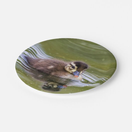 Mallard Duckling Pappteller (Schrägansicht)