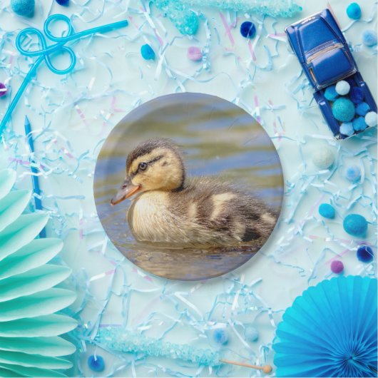 Mallard Duckling Pappteller (Party)