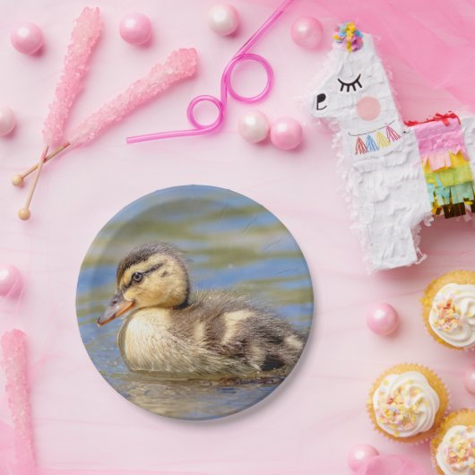 Mallard Duckling Pappteller (Party)