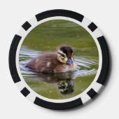 Mallard Duckling Pokerchips (Rückseite)