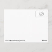 Mallard Duckling Postkarte (Rückseite)