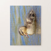 Mallard Duckling Puzzle (Vertikal)