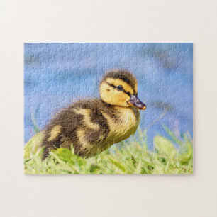 Mallard Duckling Puzzle
