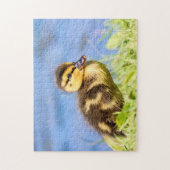 Mallard Duckling Puzzle (Vertikal)