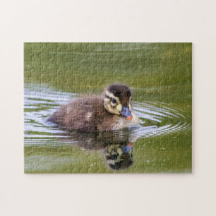 Mallard Duckling Puzzle